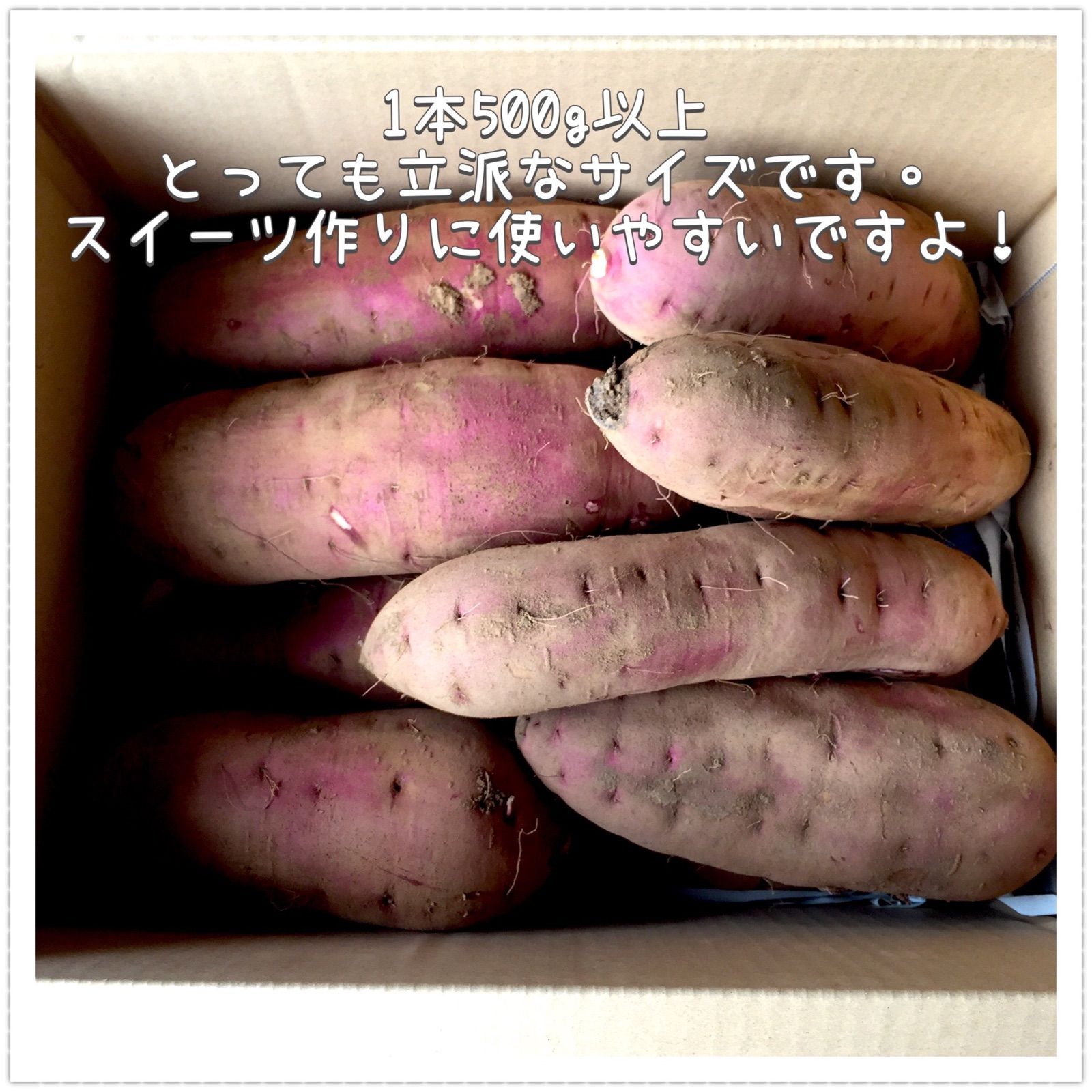 A級✴︎茨城県産紅はるか10kg（土付き）　野菜