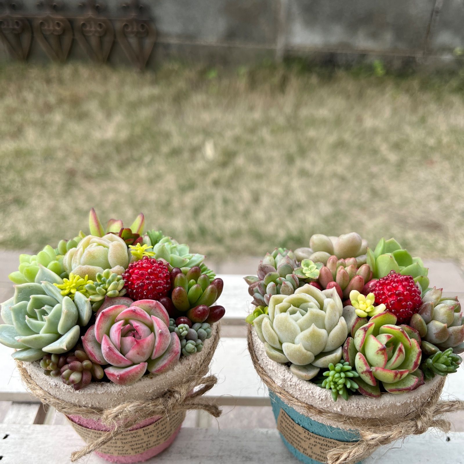 ハンドメイド多肉植物の寄せ植え♡そのまま飾れる♡2個セット