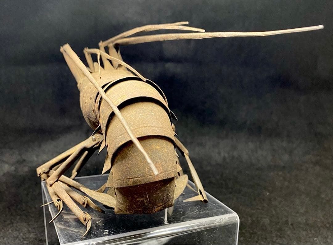 全長34㎝ 東Y6-0424