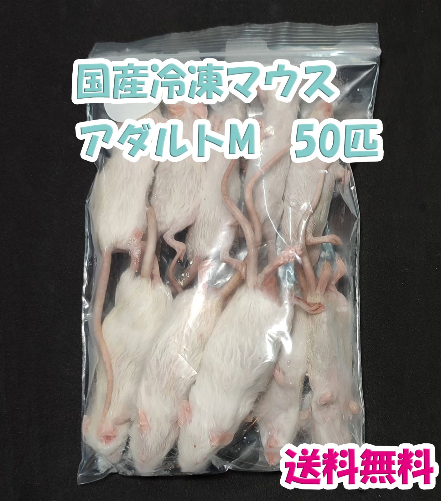 国産 冷凍マウス アダルトL 50匹 ファジー20匹 - ペットフード