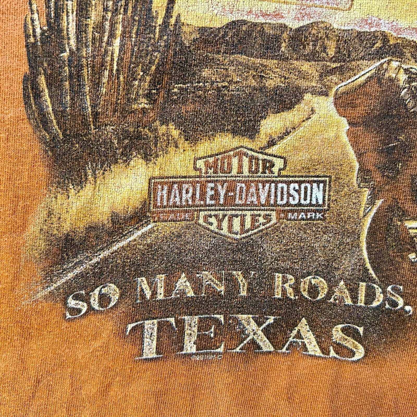 HARLEY-DAVIDSON ロンT バックプリント 袖プリント オレンジ ハーレー