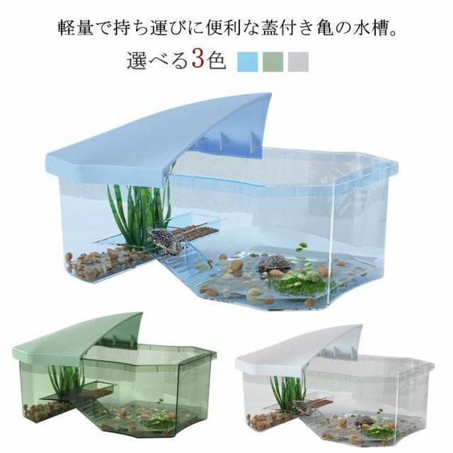 お手入れ簡単 両生類