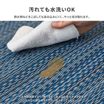 本間8畳 水洗いOK