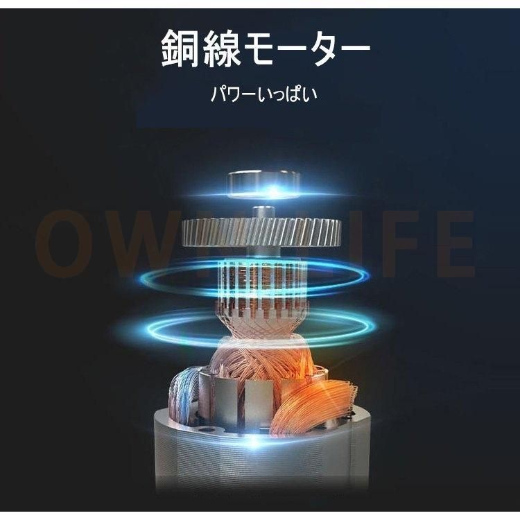 集じん機能付き 落ち葉集め
