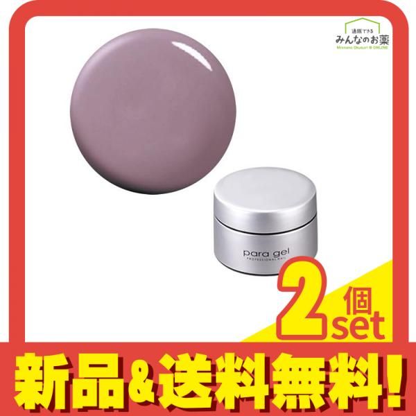 para gel(パラジェル) カラージェル DD01 パープリッシュグレー 2g 2個セット まとめ売り
