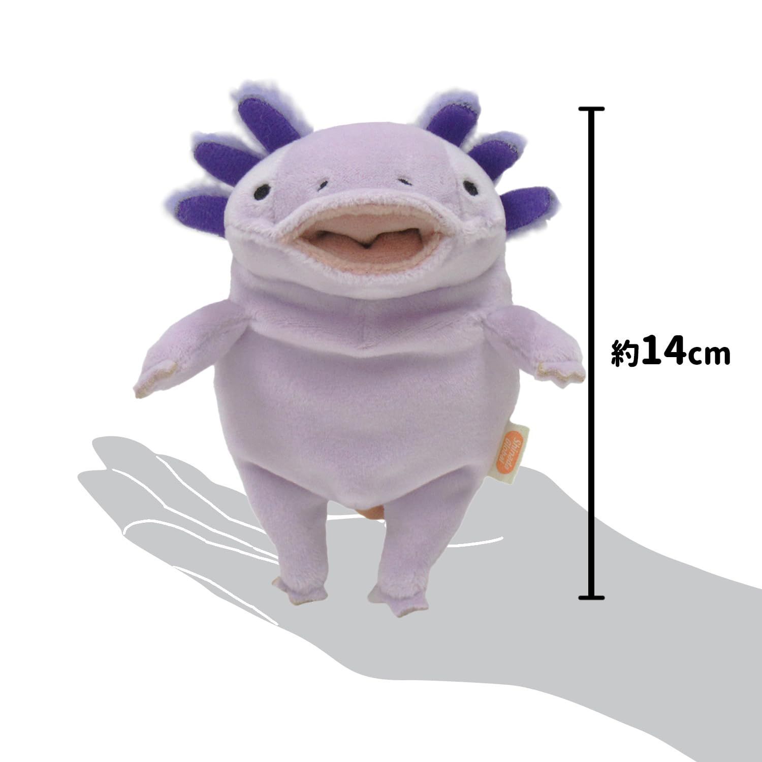 Wholesale Shopping - Cheonyu.com