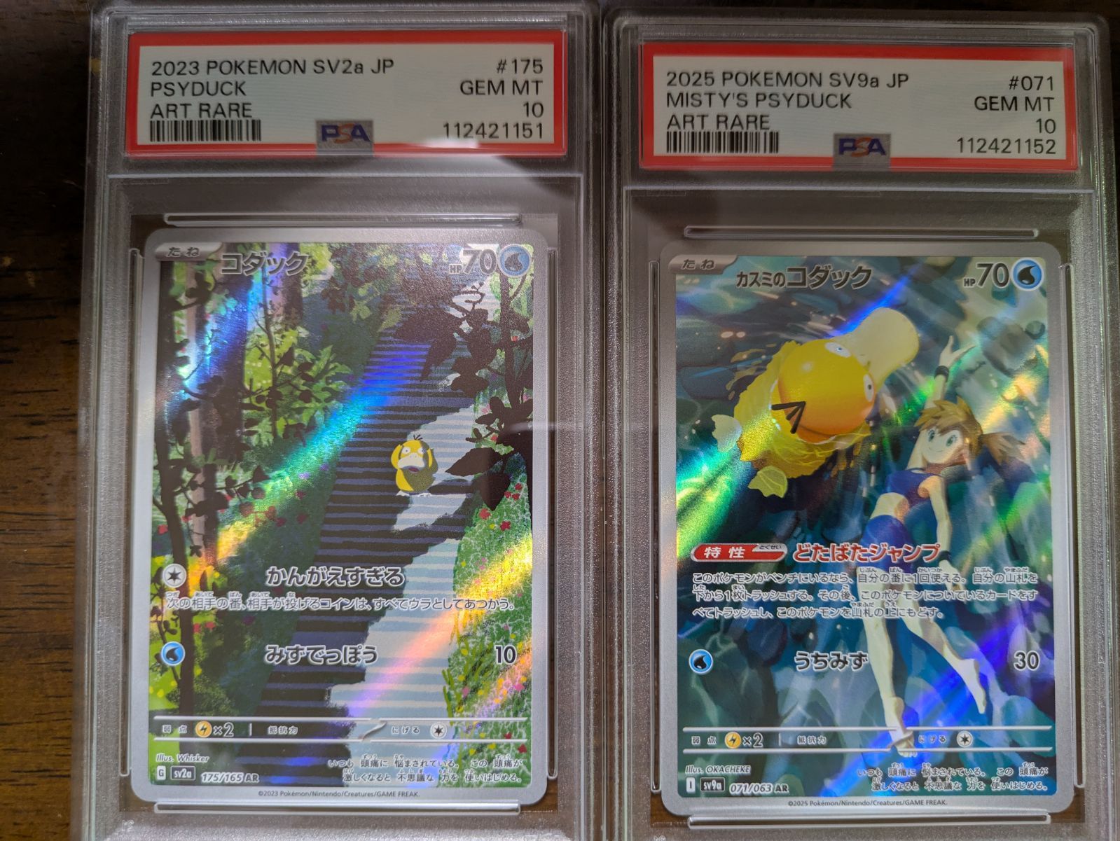 カスミのコダック AR PSA10 - メルカリ