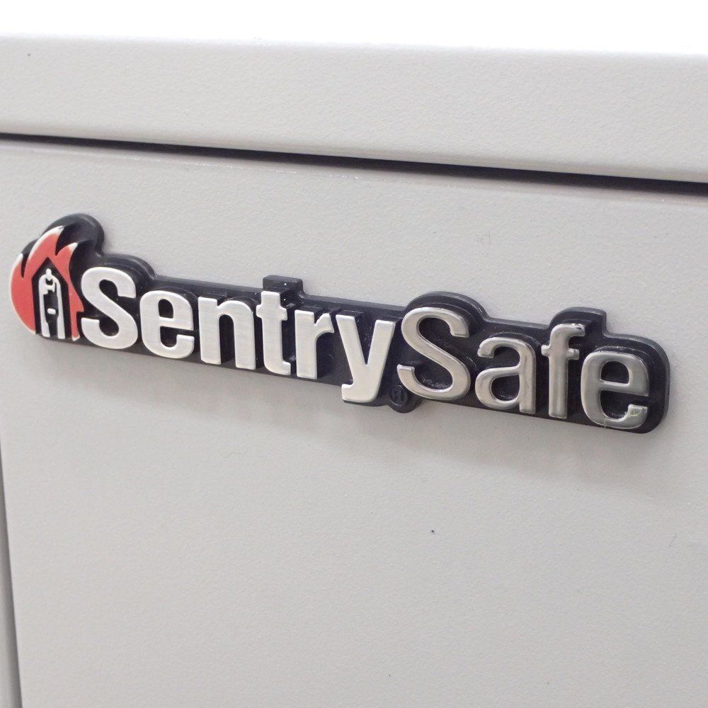 SentrySafe セントリーセーフ 耐火耐水ファイルキャビネット 鍵無し 引き出し 書類保管庫 品 60kg グレー EG18633 オフィス家具 MARWIL-DEMENAGEMENTS_CH