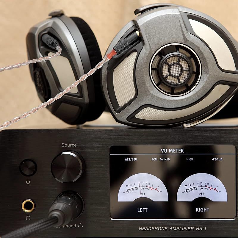 Sennheiser HD700