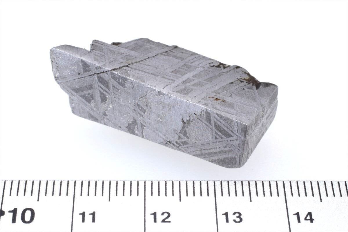 ムオニナルスタ ムオニオナルスタ 24g スライス カット 標本 隕石 