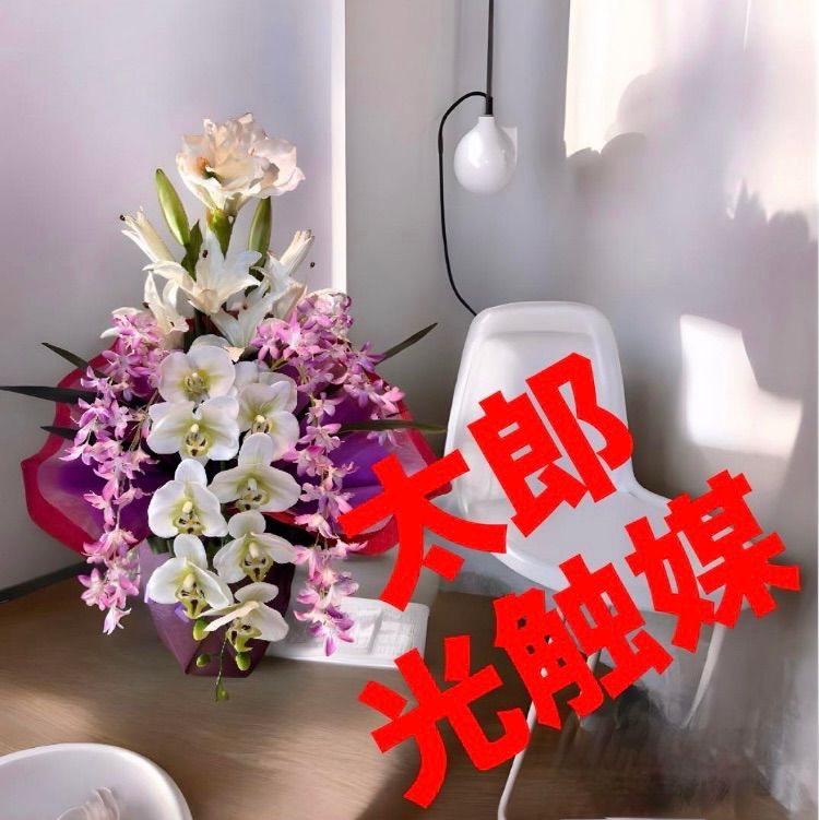 光触媒 人工観葉植物 ウォールグリーン フェイクグリーン