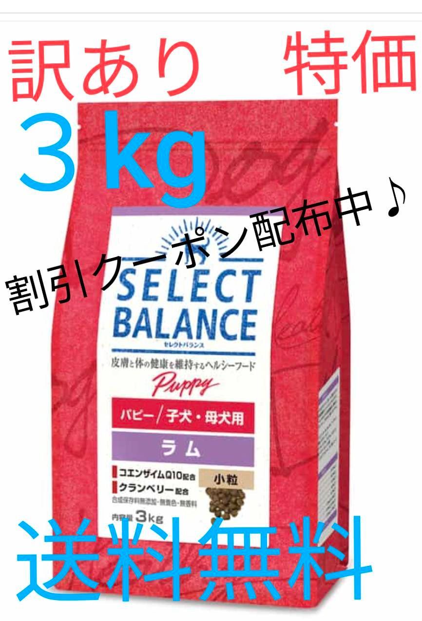 セレクトバランス　パピー　ラム　18.14キロ Amazon | セレクトバランス パピー ラム 小粒 子犬・母犬用1kg