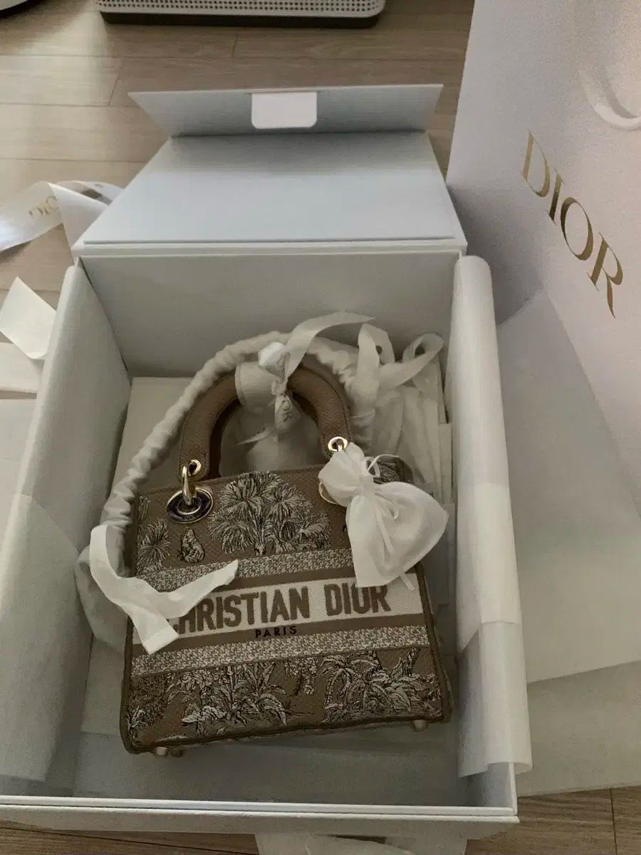 新品 Dior(ディオール) レディー ディライト ミニバッグ 新作