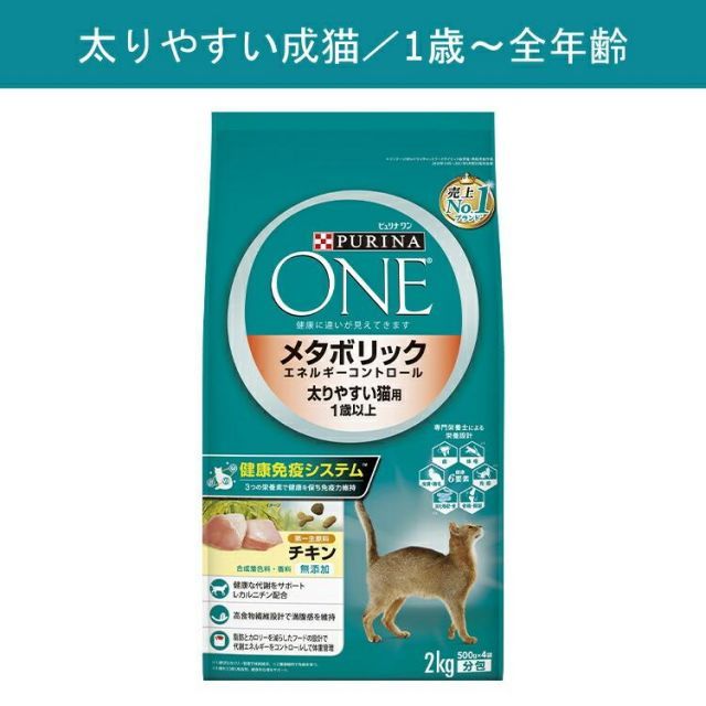 カリカリ 子猫