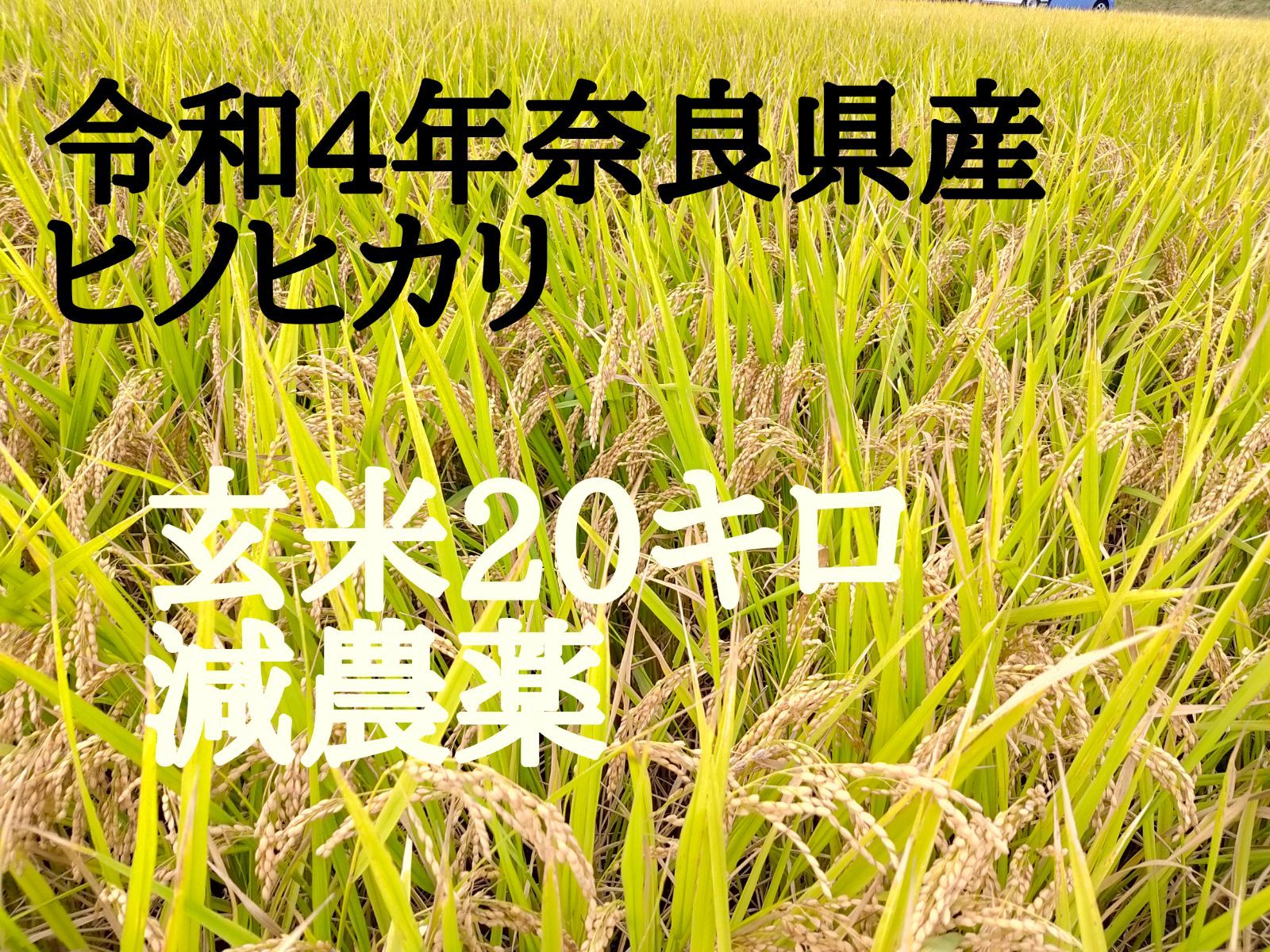 農家直送のお米 奈良県産ヒノヒカリ 20kg 令和4年度収穫 - 通販