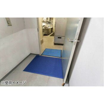 インドアマット ウォーターホースT 146×88cm 青