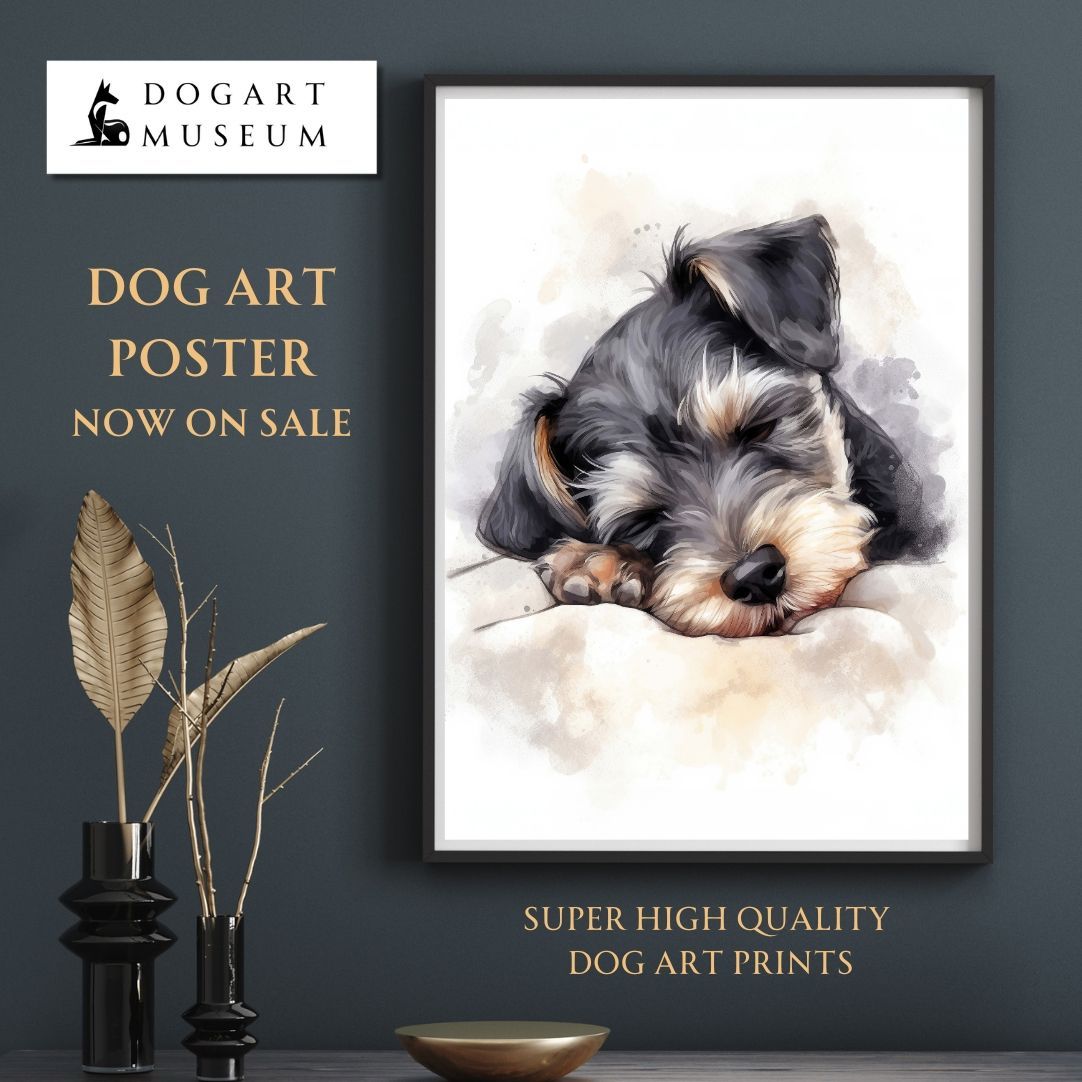 キム・アジュン LIVE SHOW IN JAPAN 2012 2024 [DVD](品)