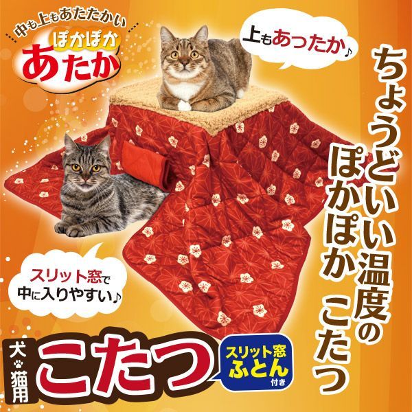 いぬ