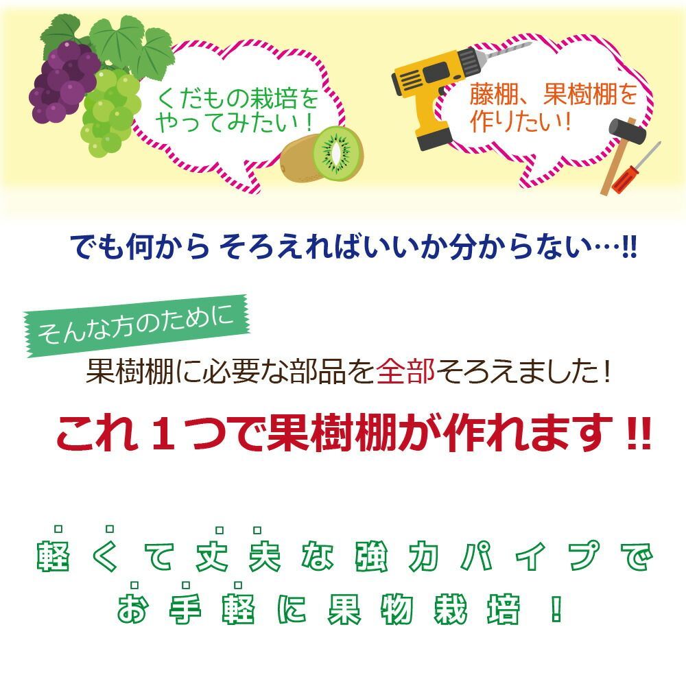 daim 果樹棚セット 幅2m×奥行3m×高さ2m（※50cm埋め込み時） パーゴラ 栽培 くだもの棚 ガーデンアーチ 藤棚 果樹棚 果物棚 ぶどう棚  - メルカリ