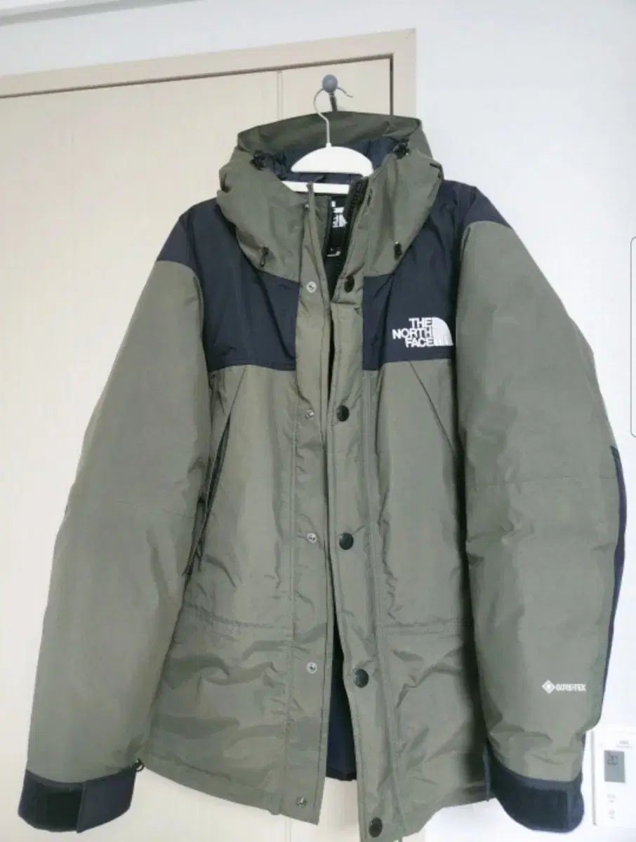 THE NORTH FACE ザノースフェイス マウンテン ダウン ジャケット ゴアテックス ジャパン L ニュートルプ 色