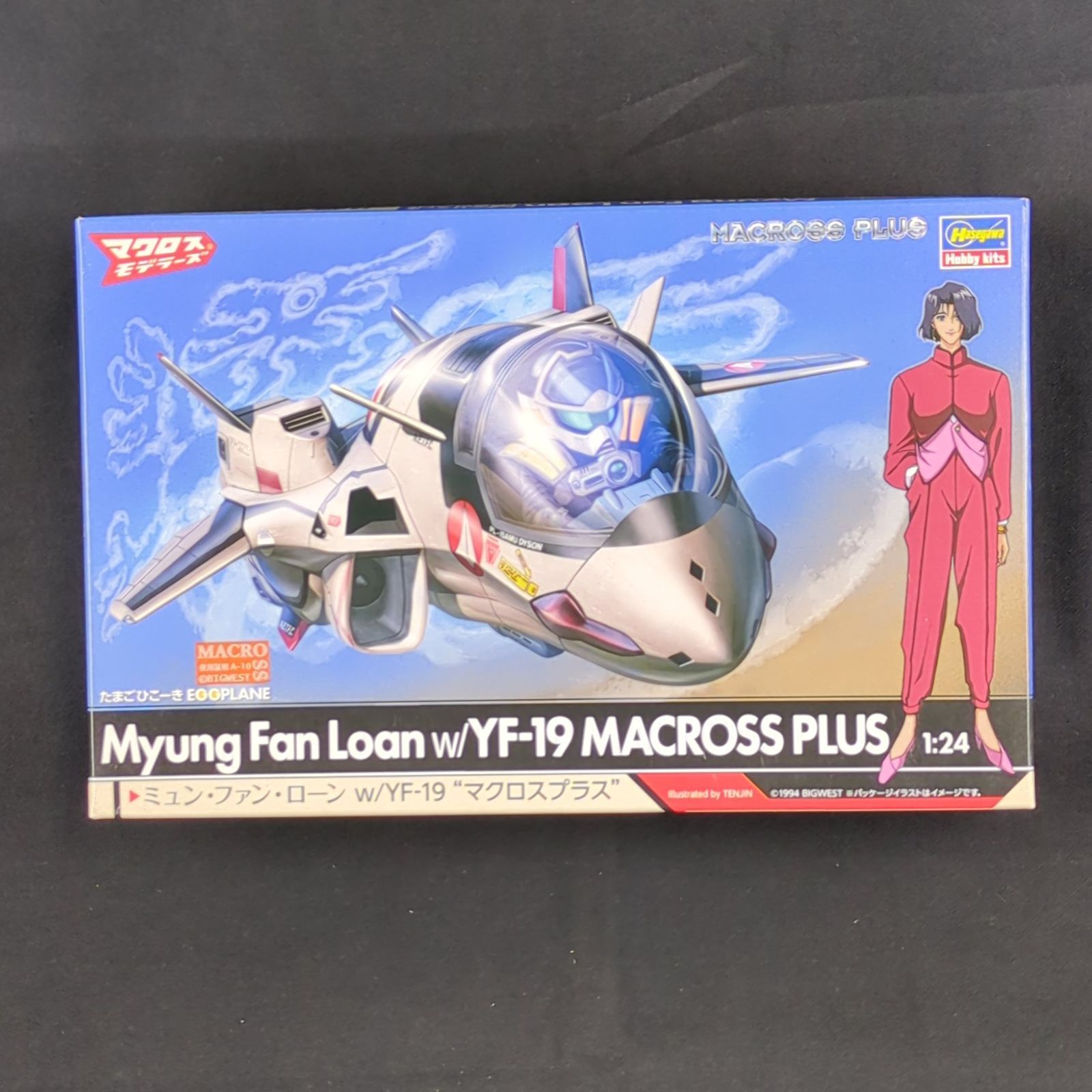 限定品・レジンフィギュア+たまごひこーき】 ハセガワ 65872 1/24