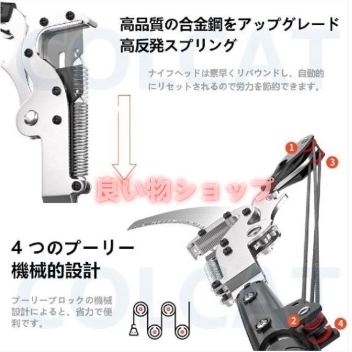 コンパクト
