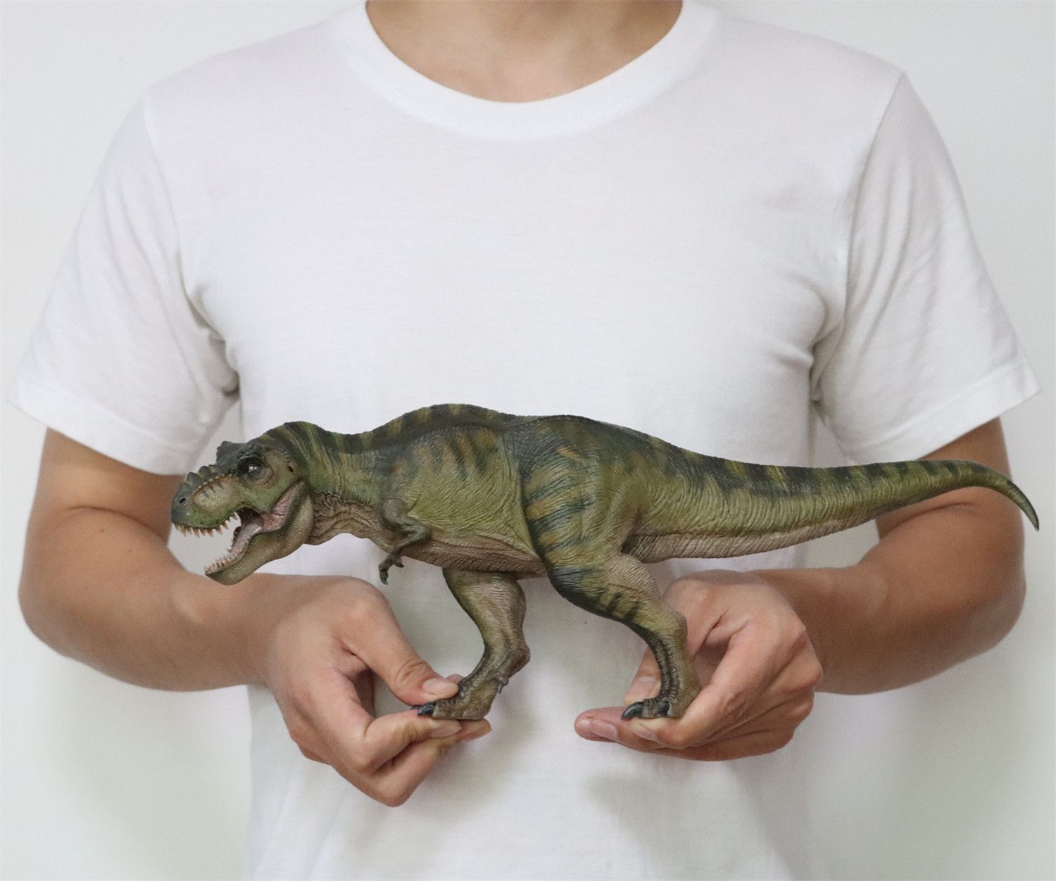 Amazon.com: WLNTDOLA Nanmu Tyrannosaurus Alpha 2.0 Figure