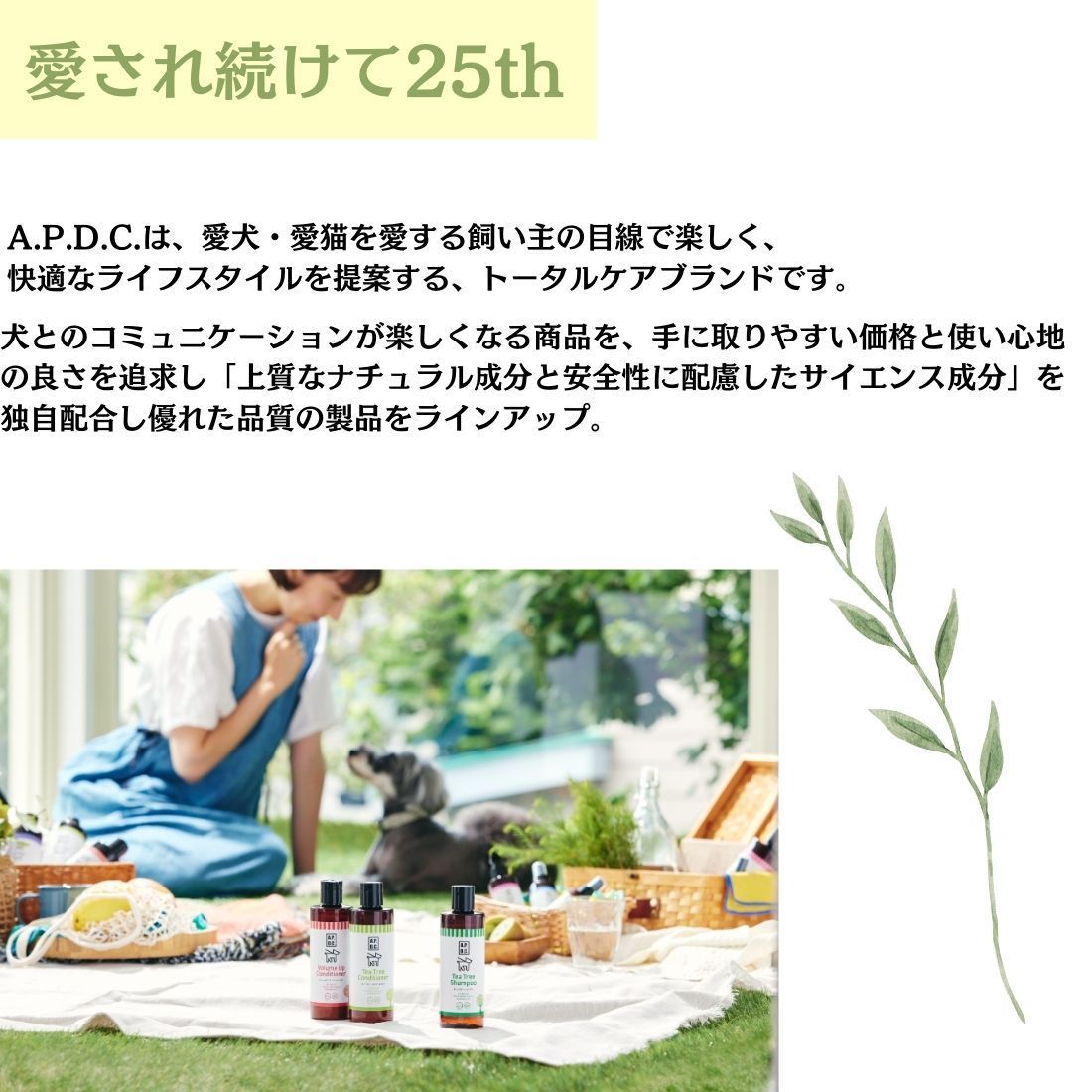 ティーツリーシャンプー＆ティーツリーコンディショナーセット
