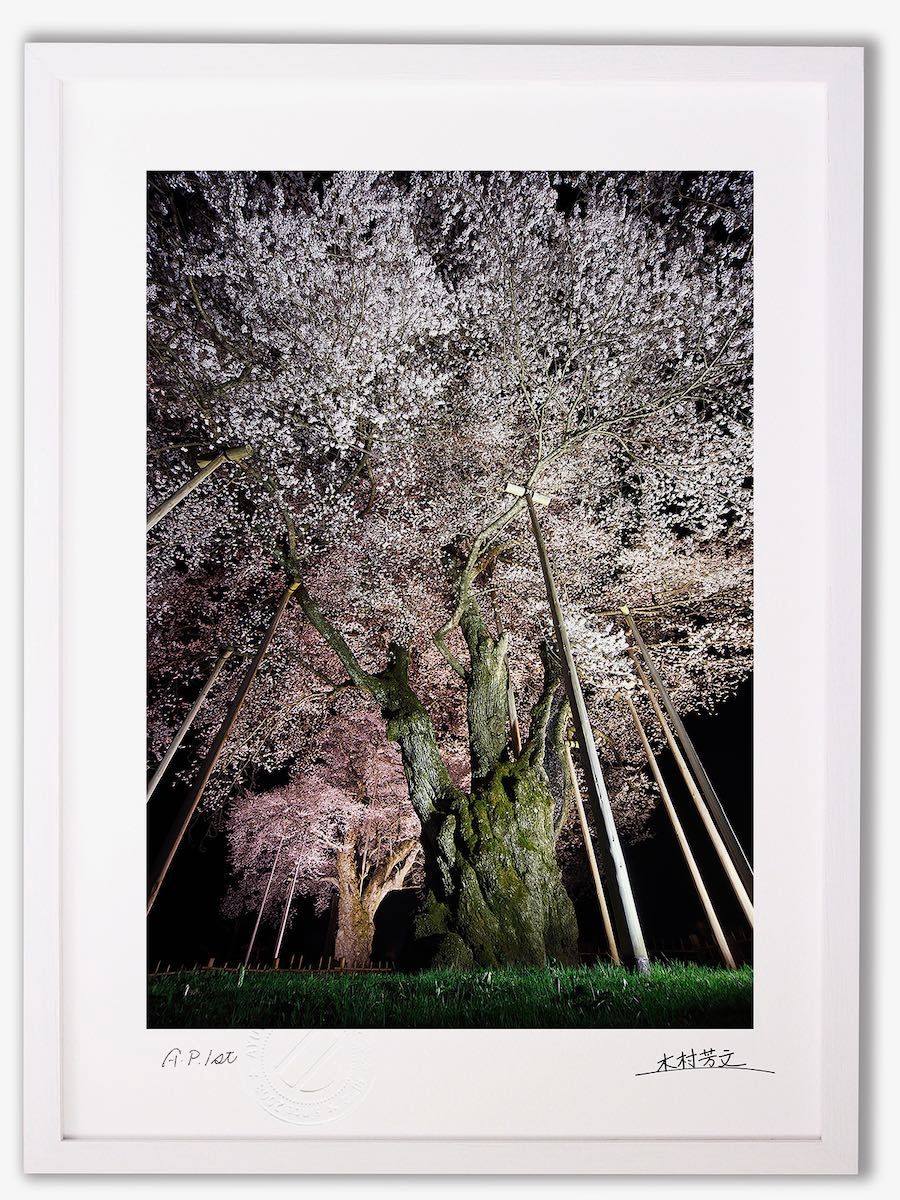 壁掛け 絵画 桜皮細工（かばざいく）4枚セット 【公式通販】