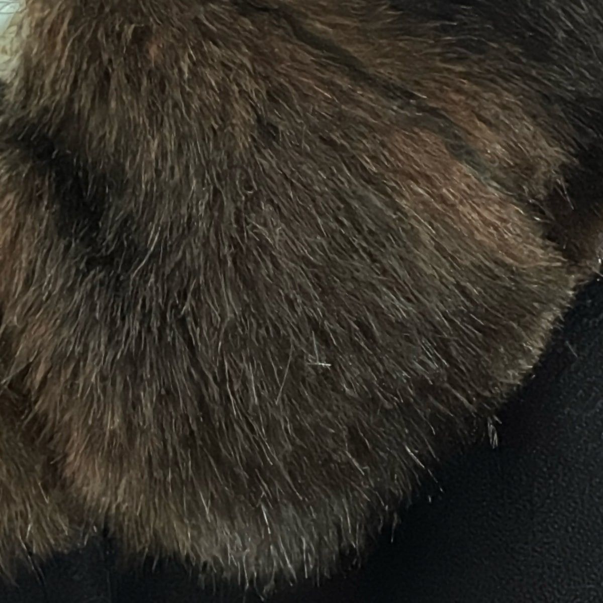 Kate spade ケイトスペード コート サイズ2 S レディース - 黒×ダークブラウン×ブラウン 長袖 冬 GULLKHAN_COM