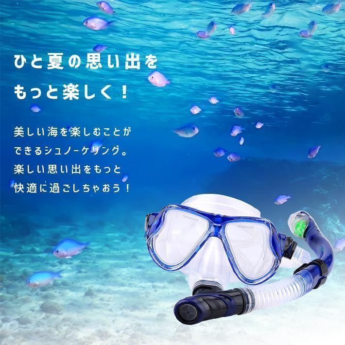 絶対にお買得! シュノーケル セット 全4色 ドライシュノーケル ＋ マスク 二眼ゴーグル 2点セット シュノーケリング スノーケリング 全国に配送可能。