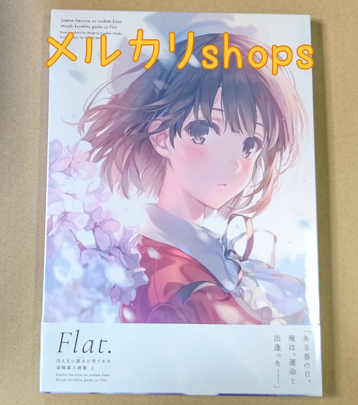 冴えない彼女の育てかた 深崎暮人画集 上 Flat. 冴えカノ 加藤
