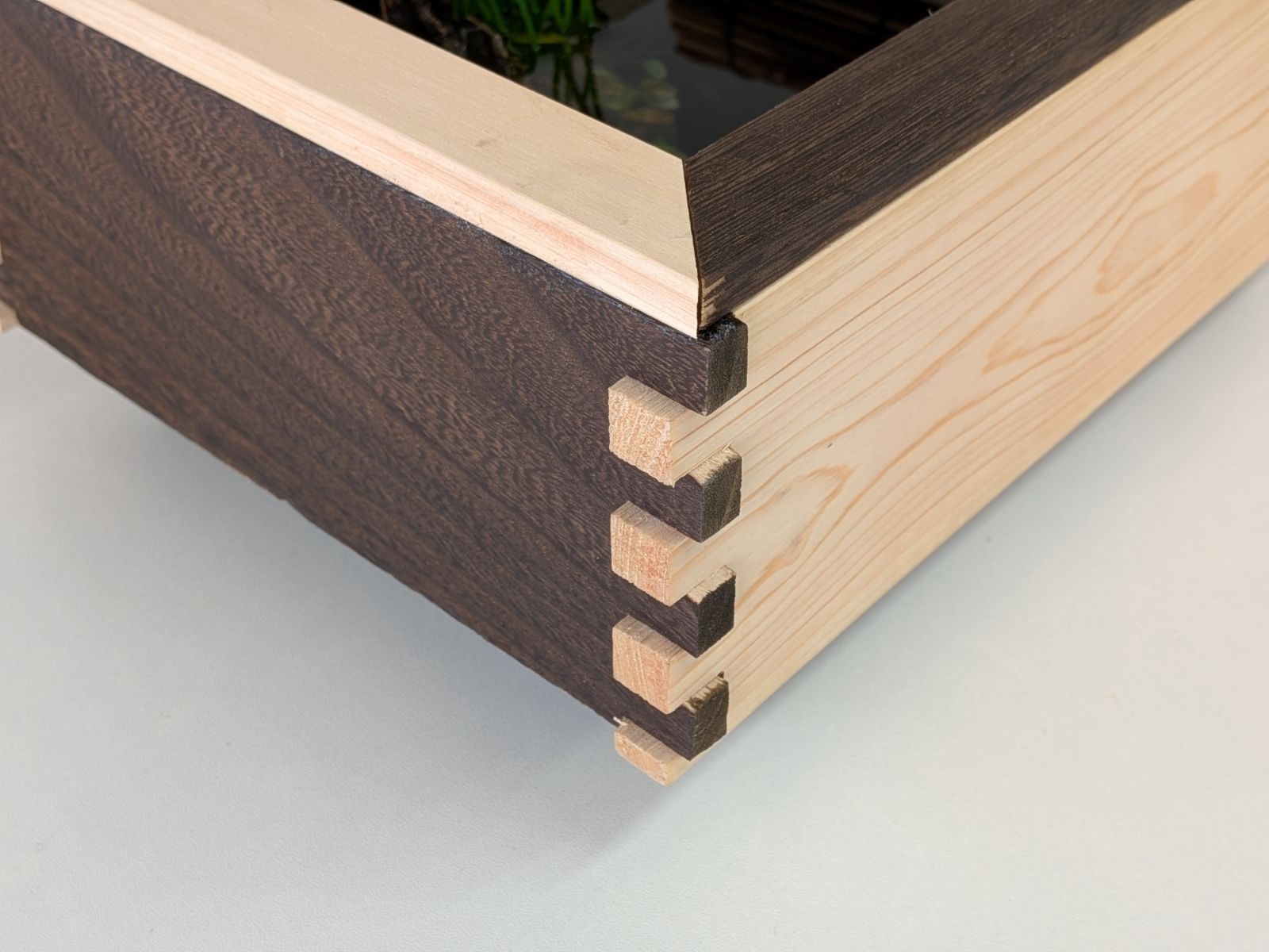 ビオトープ メダカ他飼育セット 20Lダブルタイプ 木枠カバー