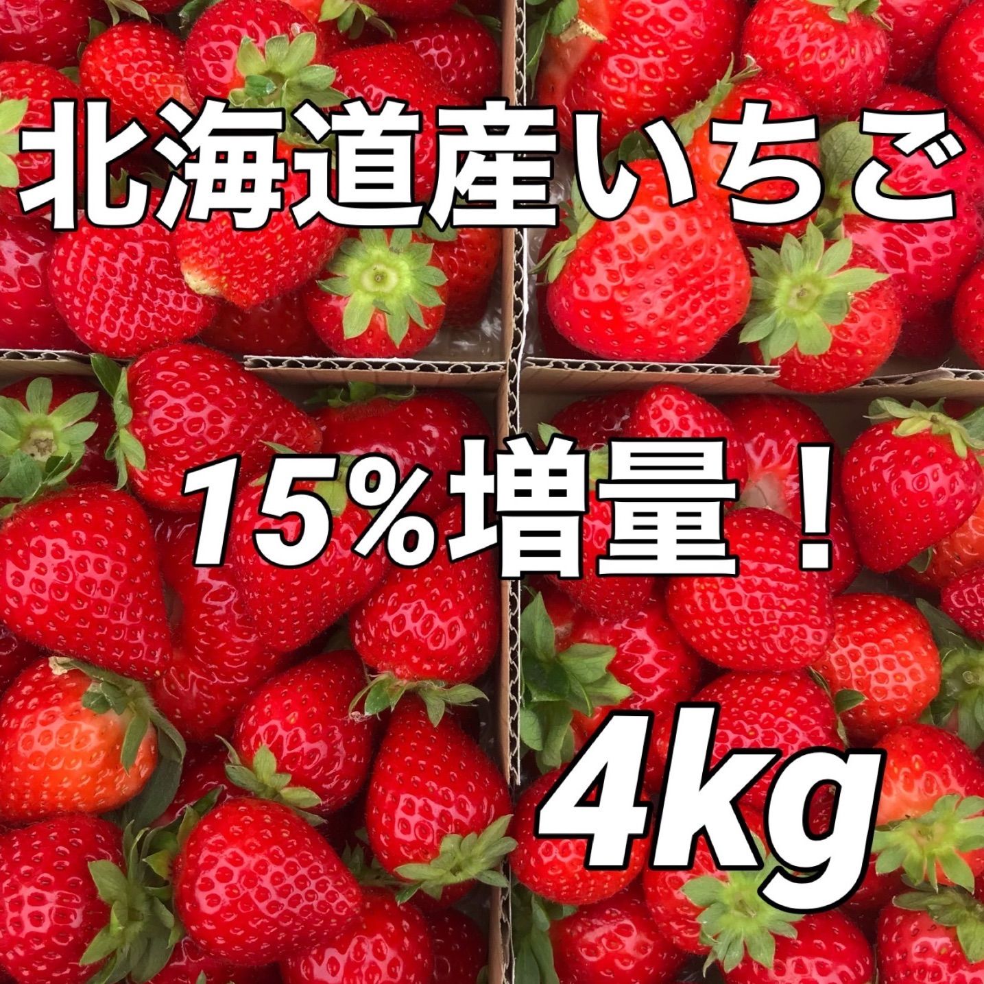 送料無料 北海道栗山町産 ファームうかわ  訳あり苺 4kg  生いちご イチゴ