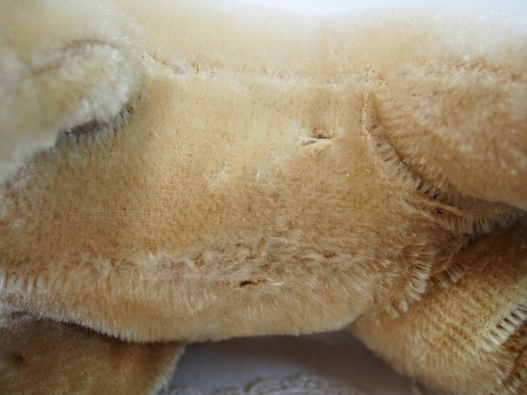 ブリードッグ 犬のブリー