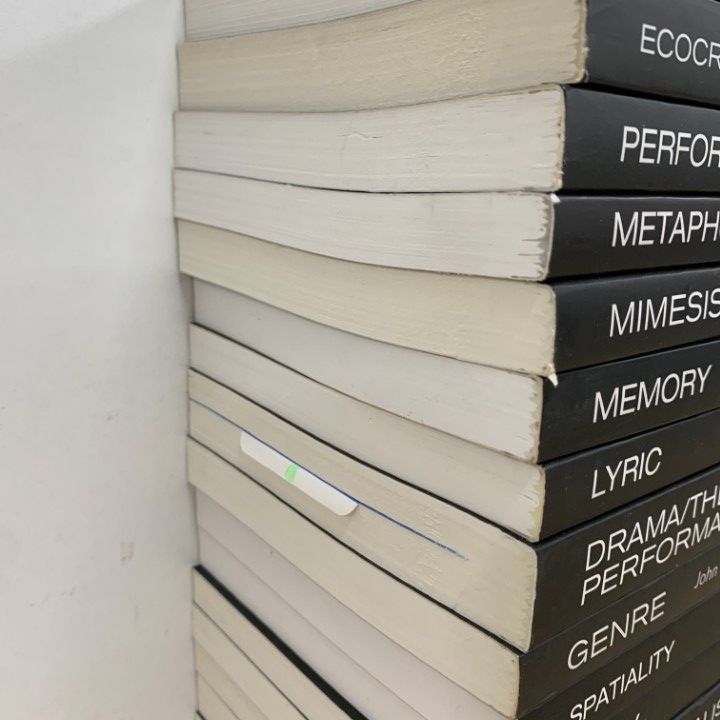 ■01)【同梱不可】The New Critical Idiom まとめ売り約50冊大量セット/新しい批評的表現/Routledge/洋書/ジェンダー/イデオロギー/B □01)【同梱不可】The New Critical Idiom まとめ売り約50冊大量