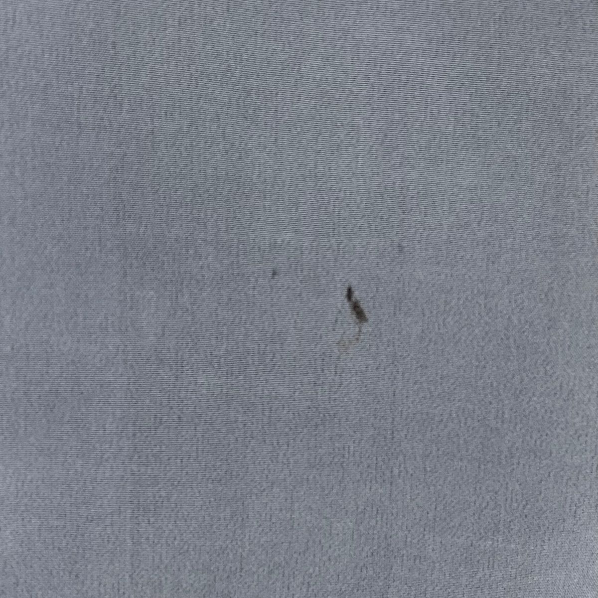 正絹