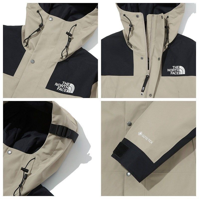 海外限定 THE NORTH FACE GTX GORE-TEX MOUNTAIN JACKET ノース