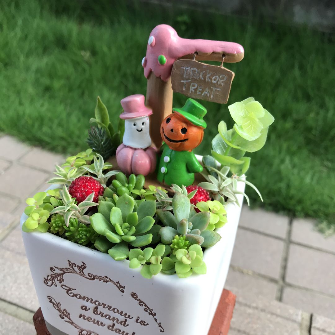 ☆限定1点限り！☆♡そのまま飾れる♡ハロウィンの多肉植物寄せ植え