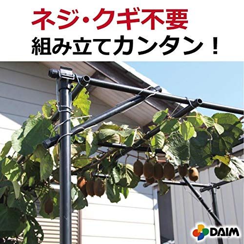 迅速発送
