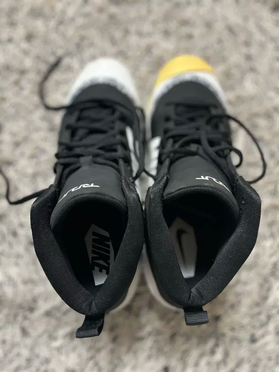 ズーム トラウト4