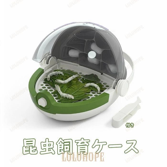 昆虫採集 標本収集