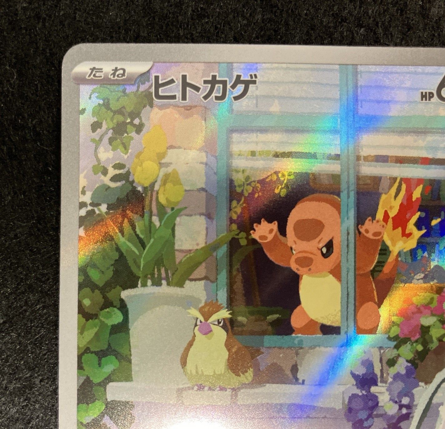 ポケモンカードゲーム ヒトカゲ (AR仕様) スペシャルデッキ