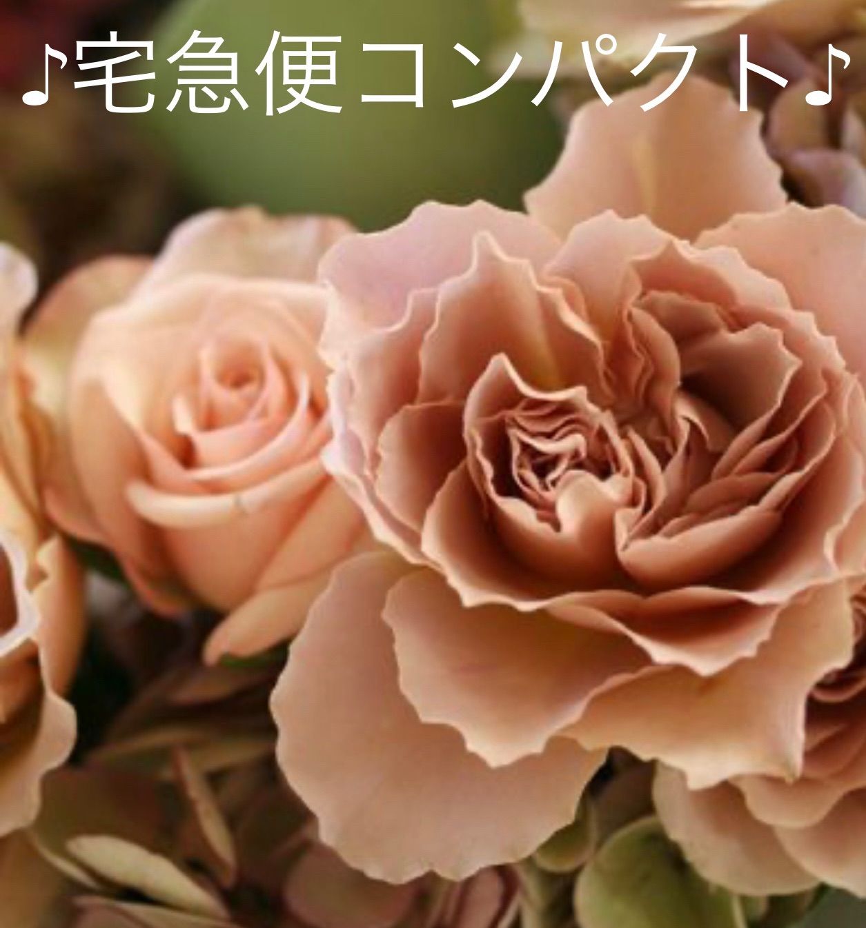 薔薇 バラ 切り花 苗