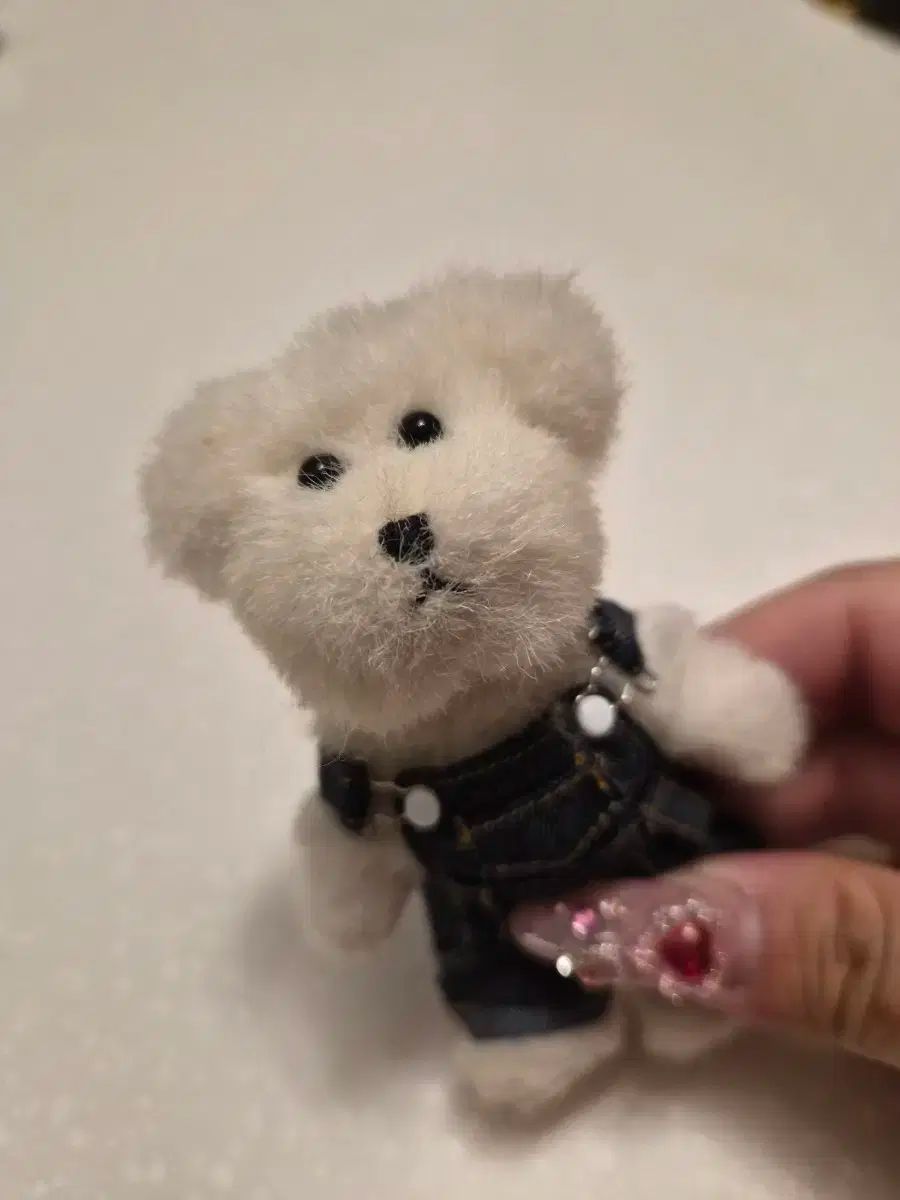 ボーイズベア 小さい