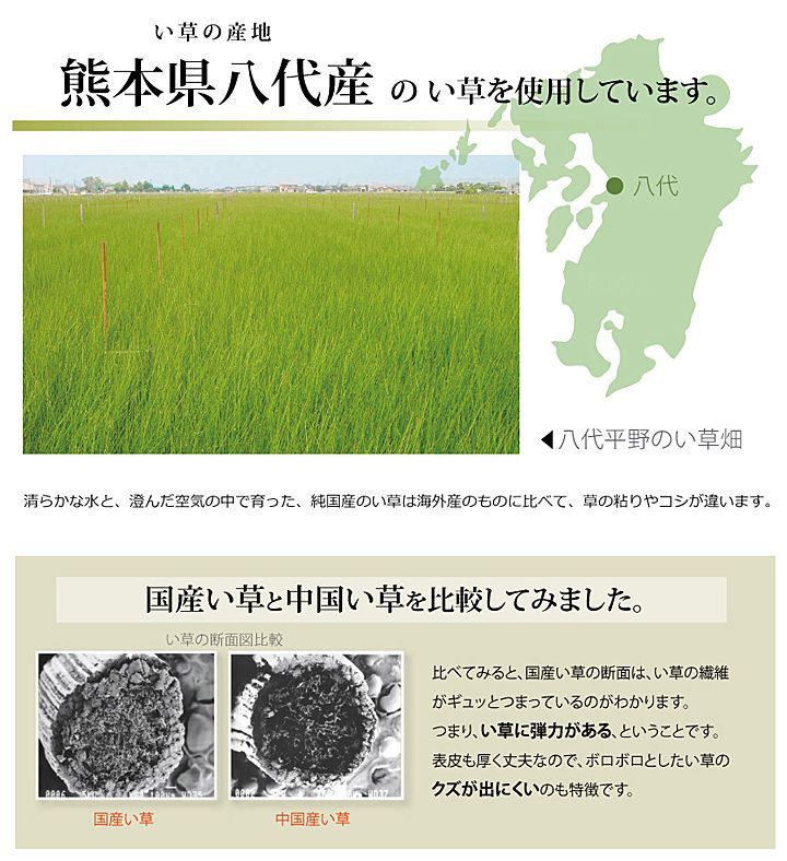 BIK1014104 日本製 国産 純国産 い草 上敷き カーペット 市松織 不知火