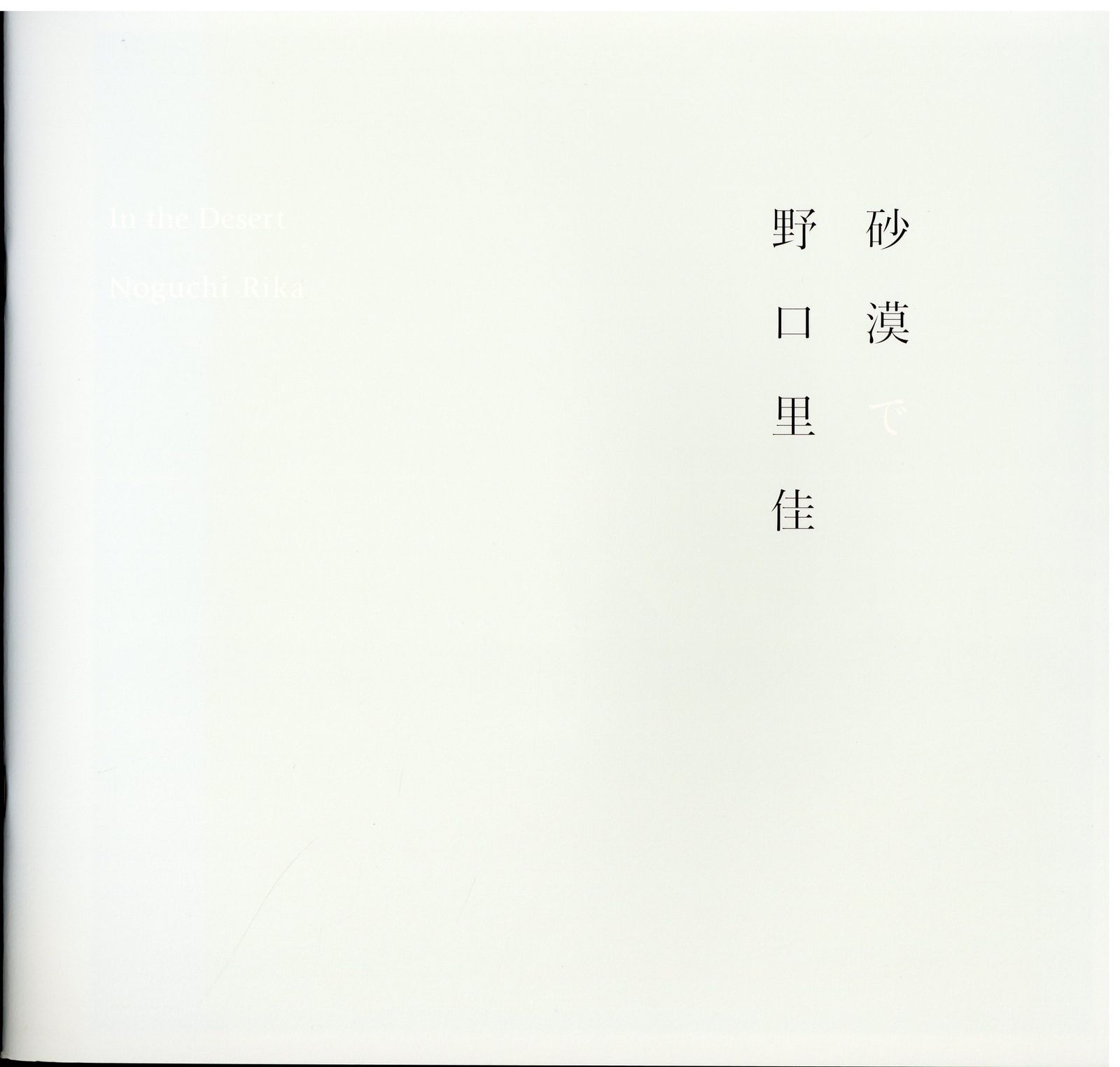 野口里佳 砂漠でinthedesert