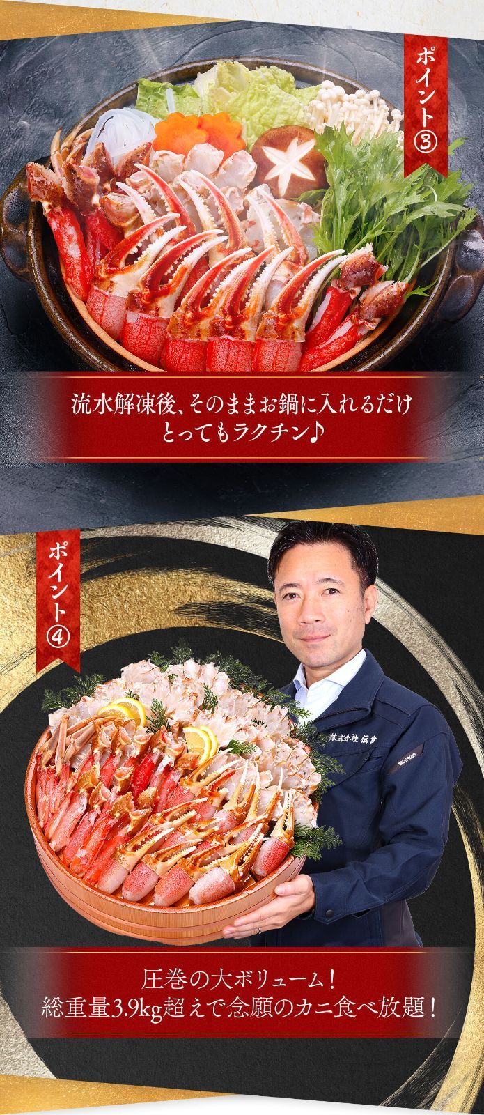 ギフト 甲羅組