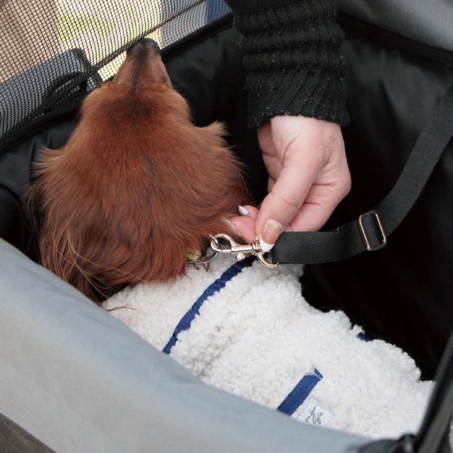 体重6kg未満 小型犬