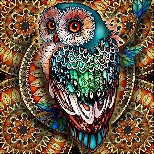 カラフルなフクロウ 数量限定】cm 30x30 カラフルなフクロウカラフルな鳥 DIY KAKISO